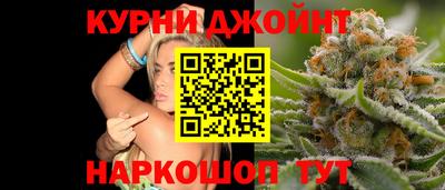 дмт Бердск