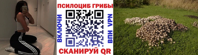 Галлюциногенные грибы MAGIC MUSHROOMS  blacksprut   Владикавказ 