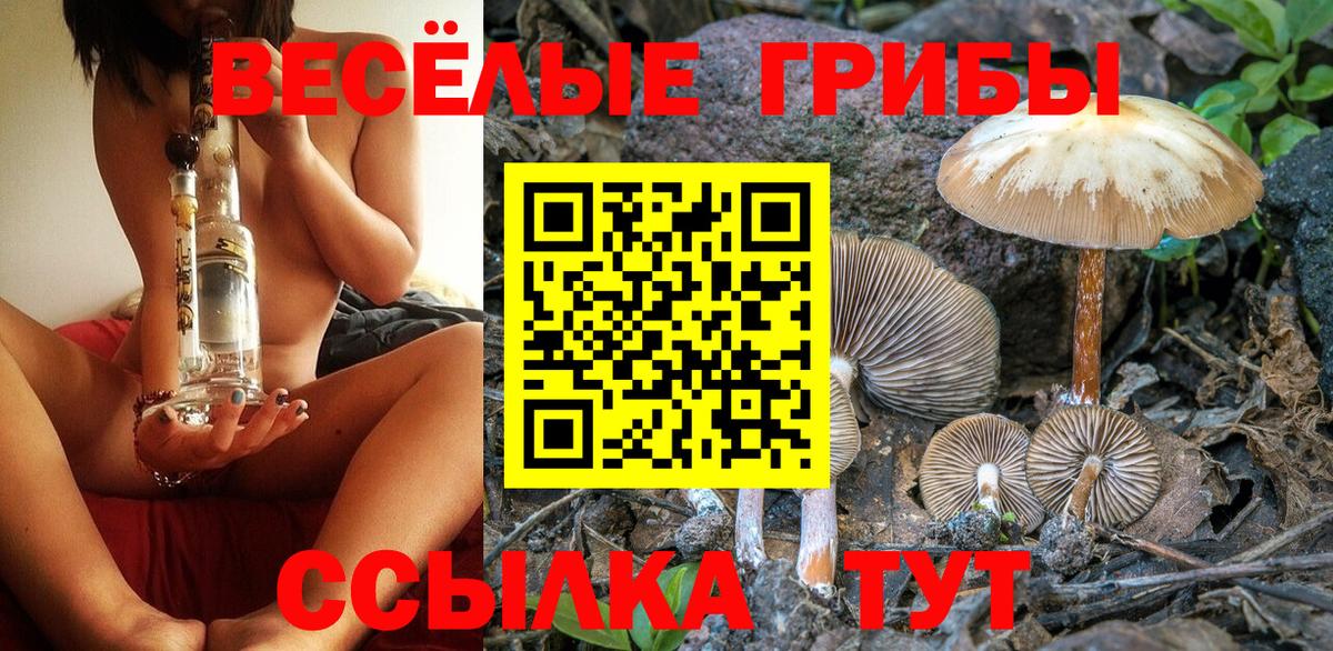 Псилоцибиновые грибы GOLDEN TEACHER  Вход с VPN  Галлюциногенные грибы MAGIC MUSHROOMS  Владикавказ 