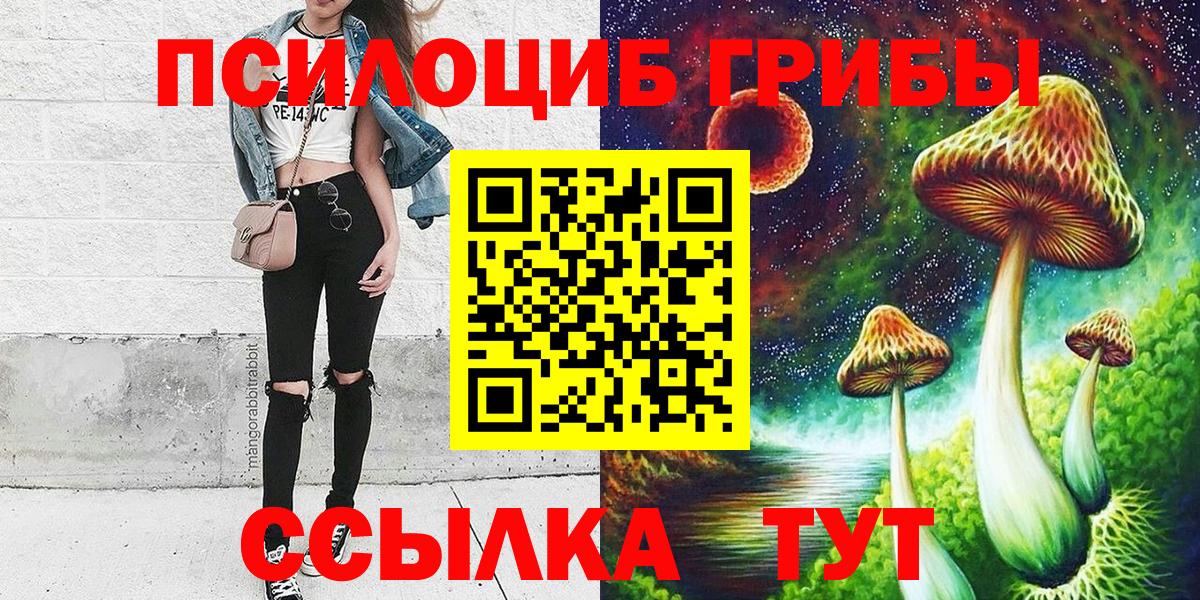 Псилоцибиновые грибы мицелий Владикавказ